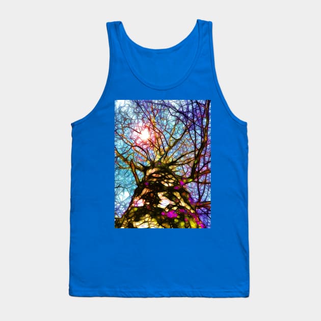 Birch Tree Looking Up Tank Top by danieljanda